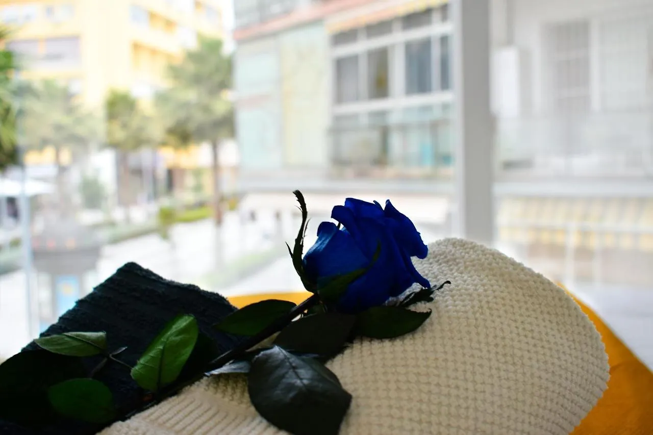 Paris Fashion - Torremolinos Apartment 0*,  Spain